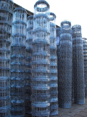 ogrodzenie tymczasowe, najtańsza siatka leśna, 2m